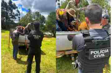 Laranjeiras - PCPR recupera ovelhas furtadas e prende homem por receptação